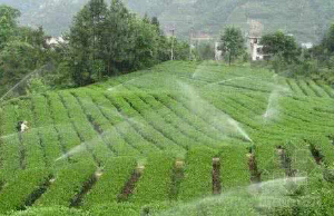 灌溉噴灌工程實例